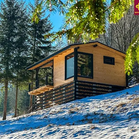 «yo Hill» - «йо хілл» - будинок в горах Verkhovyna